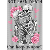 Valentine's Day-QRJ  6928